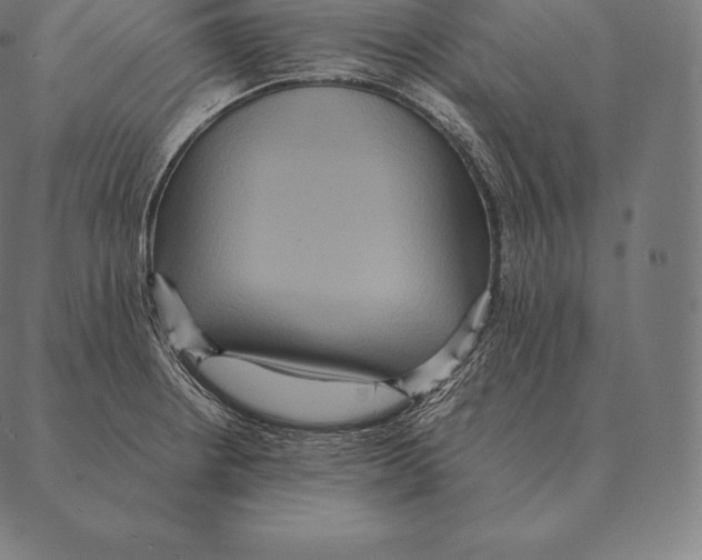 X0000087371234200705181208