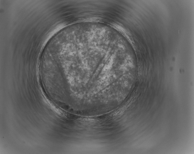 X0000087371235200705181208