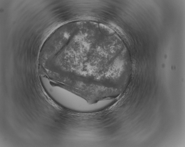 X0000087371236200705181208