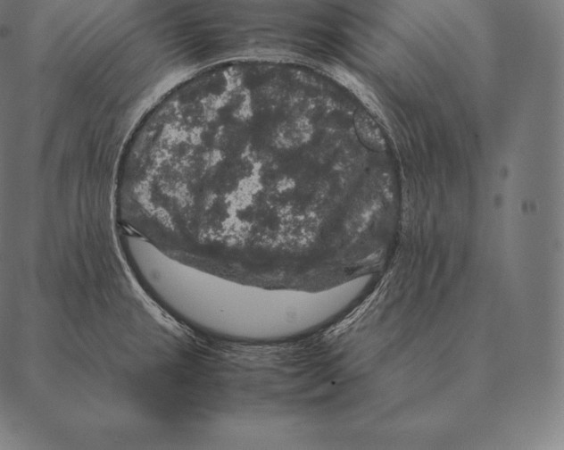 X0000087371237200705181208