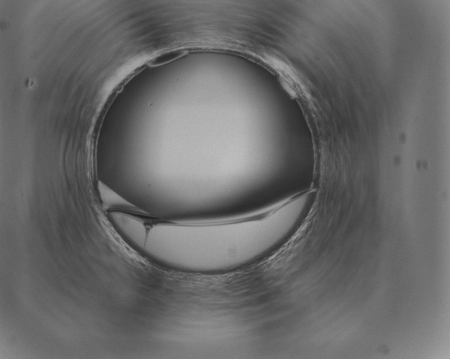 X0000087371238200705181208