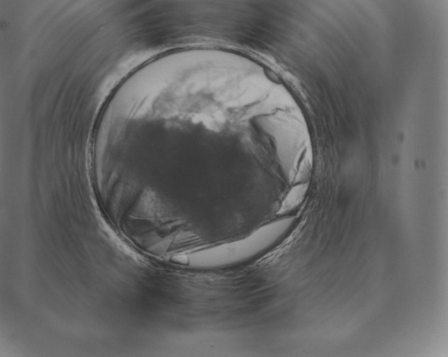 X0000087371239200705181208