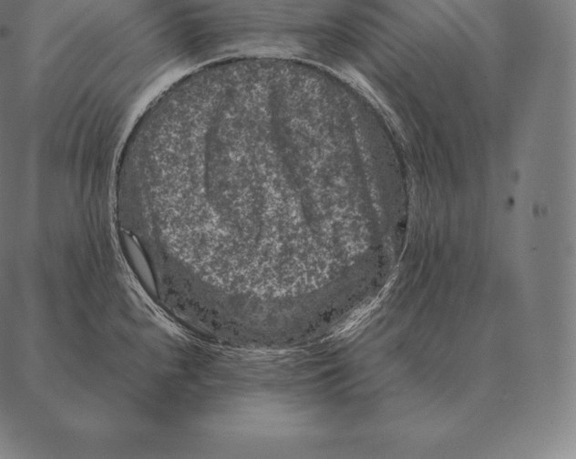 X0000087371240200705181208