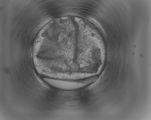 X0000087371241200705181208