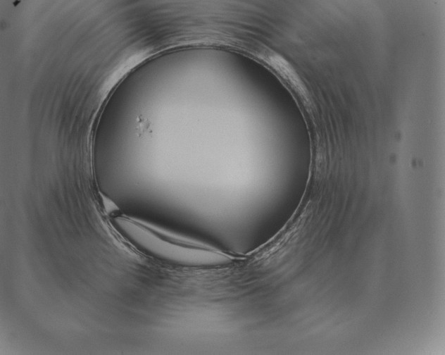 X0000087371242200705181208