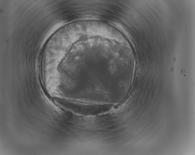 X0000087371243200705181208