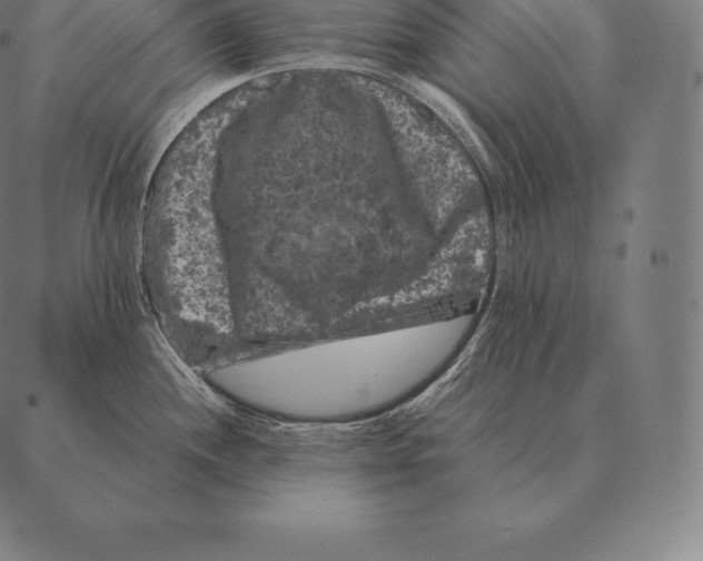 X0000087371244200705181208