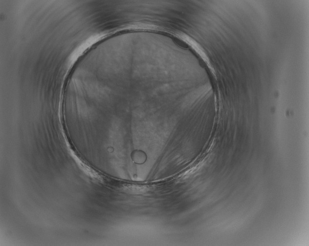 X0000087371245200705181208