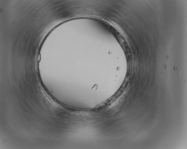 X0000087371246200705181208