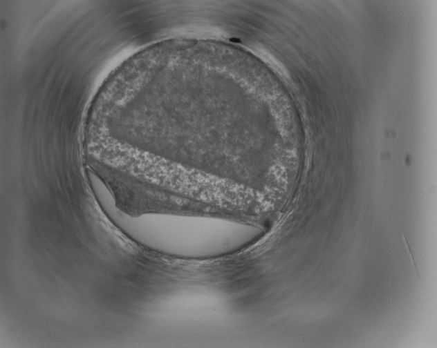 X0000087371248200705181208