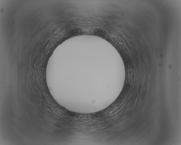 X0000087371249200705181208