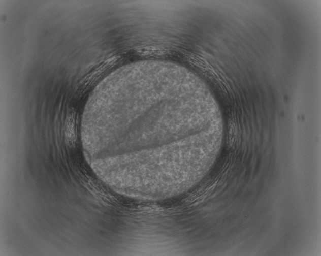 X0000087371250200705181208