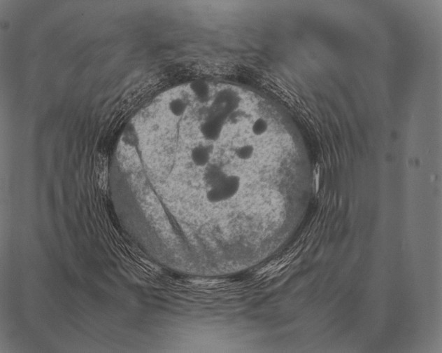 X0000087371251200705181208