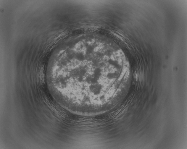 X0000087371252200705181208