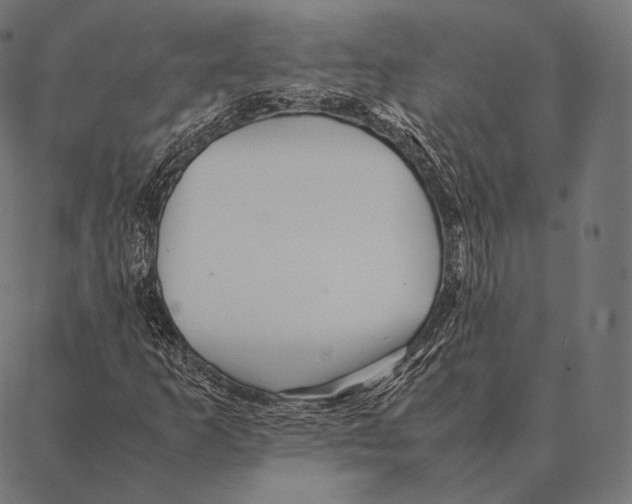 X0000087371253200705181208