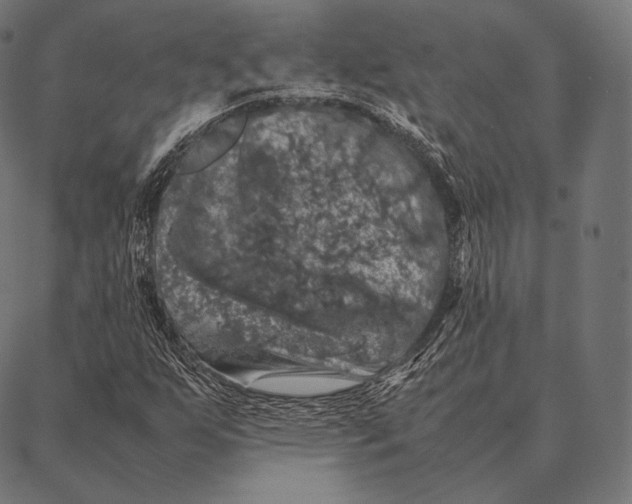 X0000087371255200705181208