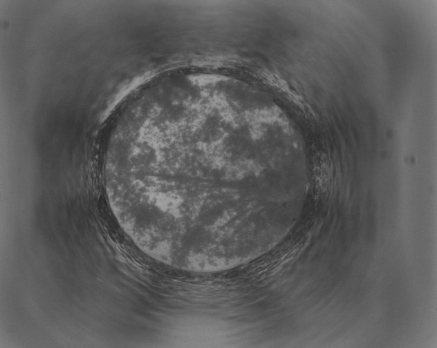 X0000087371256200705181208