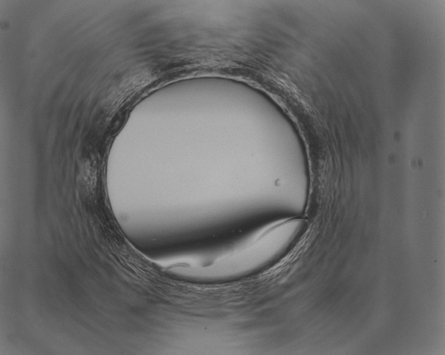 X0000087371257200705181208