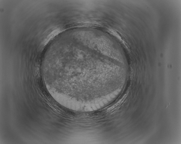 X0000087371259200705181208