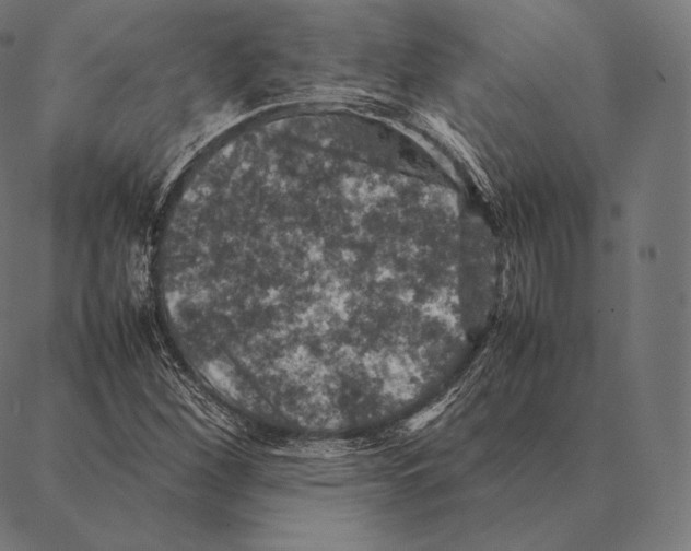 X0000087371260200705181208