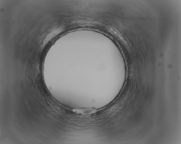 X0000087371261200705181208