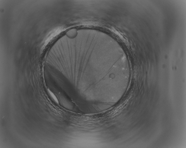 X0000087371263200705181207