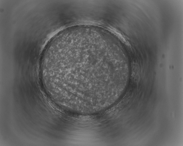 X0000087371264200705181207