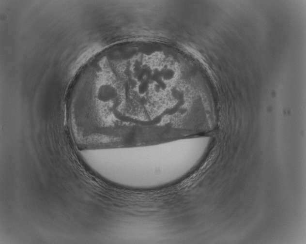 X0000087371267200705181207