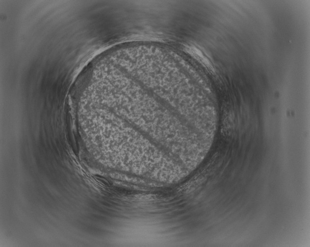 X0000087371268200705181207