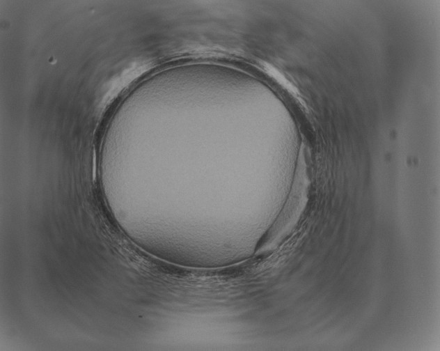 X0000087371269200705181207