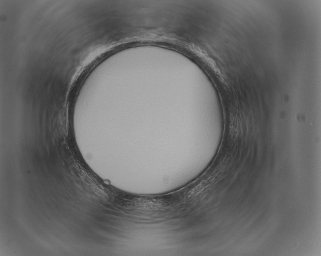 X0000087371270200705181207