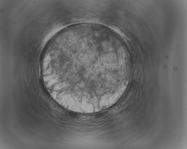 X0000087371271200705181207