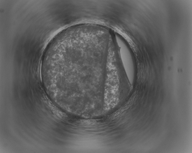 X0000087371272200705181207