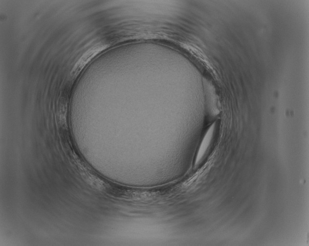 X0000087371273200705181207