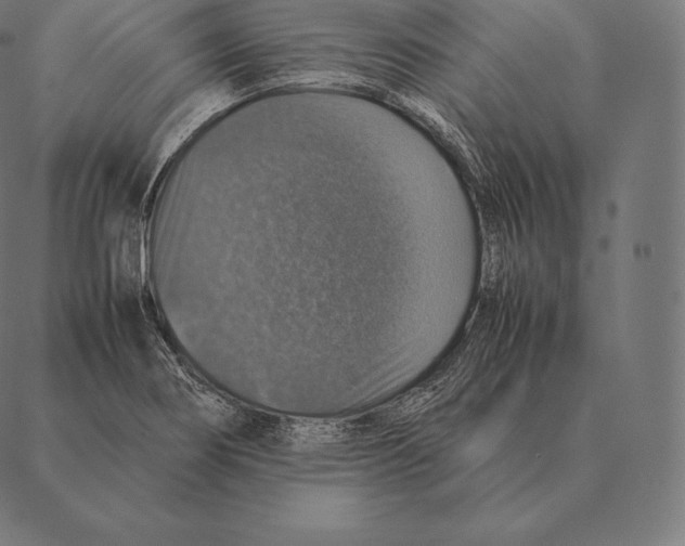 X0000087371274200705181207