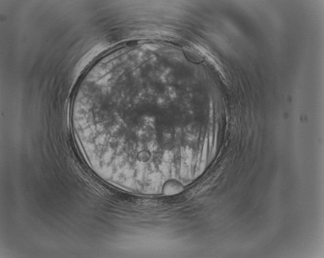 X0000087371275200705181207