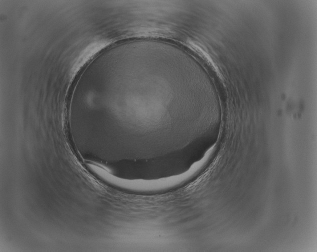 X0000087371277200705181207