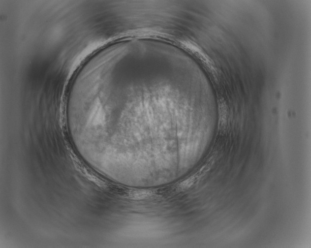 X0000087371278200705181207