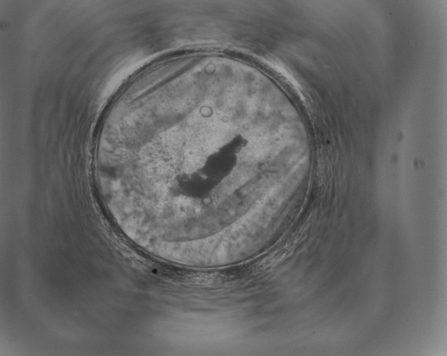 X0000087371279200705181207