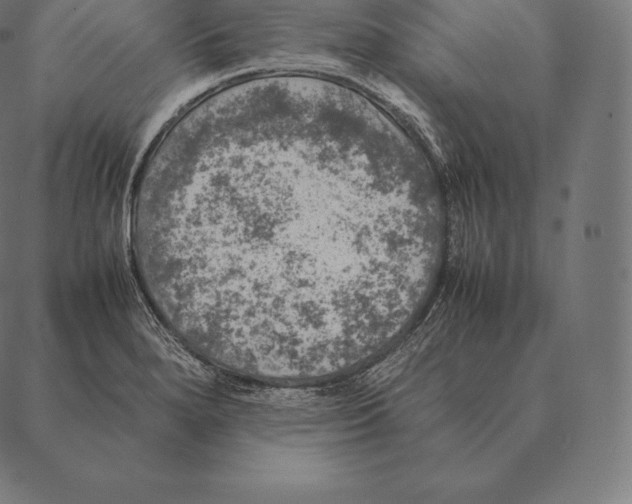 X0000087371280200705181207