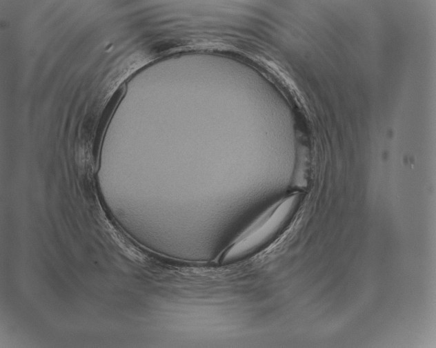 X0000087371281200705181207