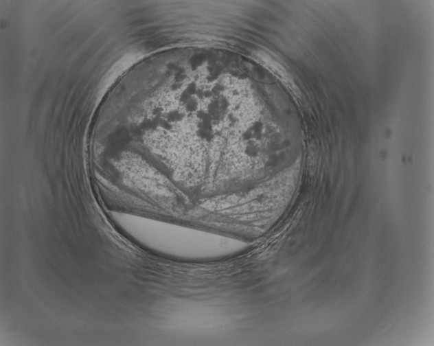 X0000087371283200705181207