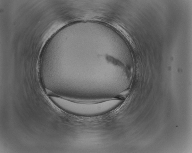 X0000087371285200705181207