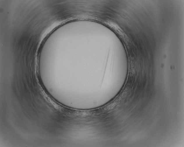 X0000087371286200705181207