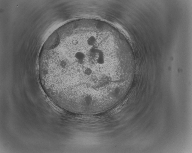 X0000087371287200705181207