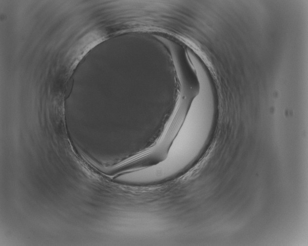 X0000087371289200705181207