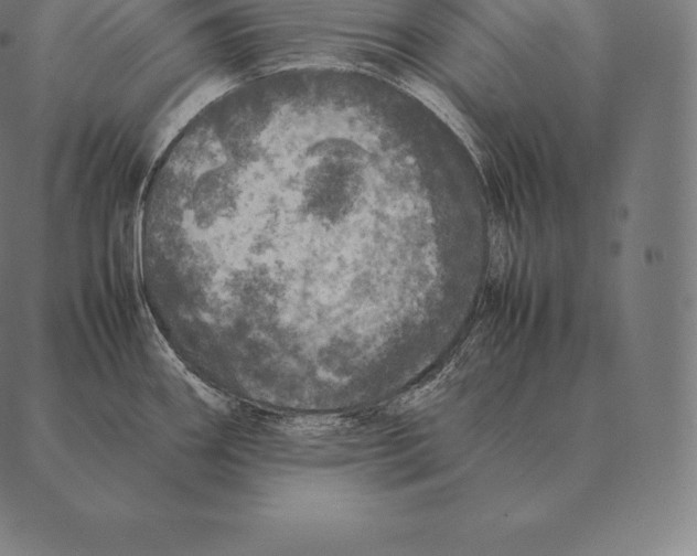 X0000087371290200705181207