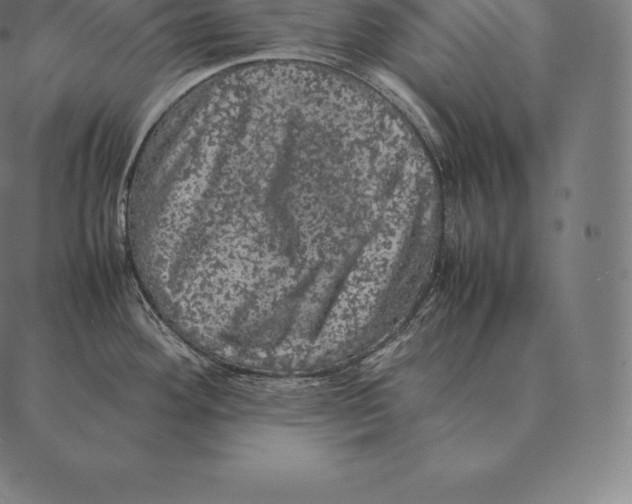 X0000087371292200705181207