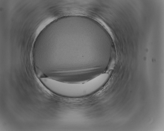 X0000087371293200705181207