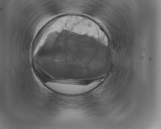 X0000087371295200705181207